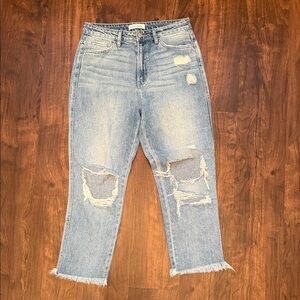 Flying Monkey Light Blue Distressed Boyfriend Jeans